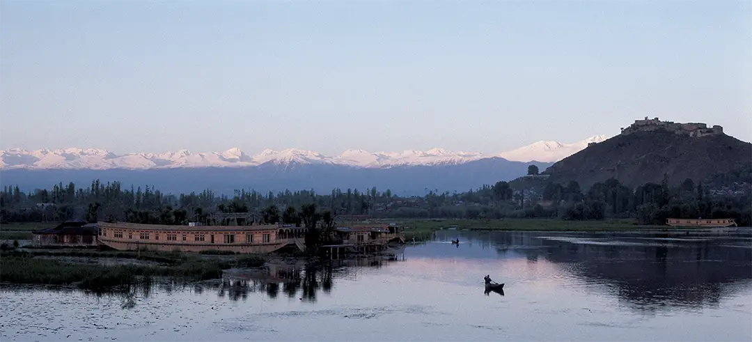 kashmir-1-the-family-crewels-dot-com